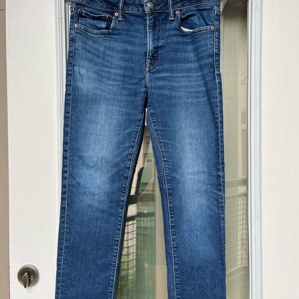 American Eagle Outfitters Men’s Dark Blue Slim Straight Jeans